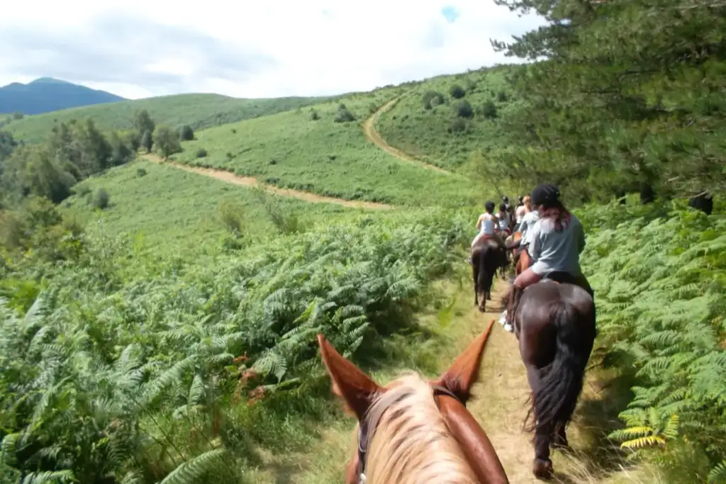 L’école d’équitation Equizones