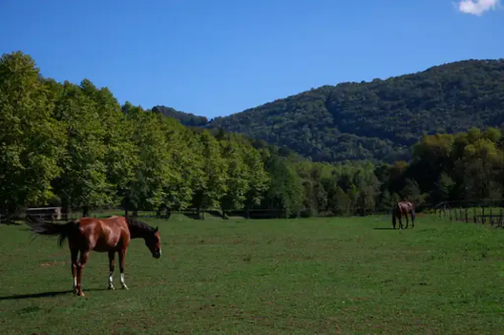 Votre camping sportif en Ariège